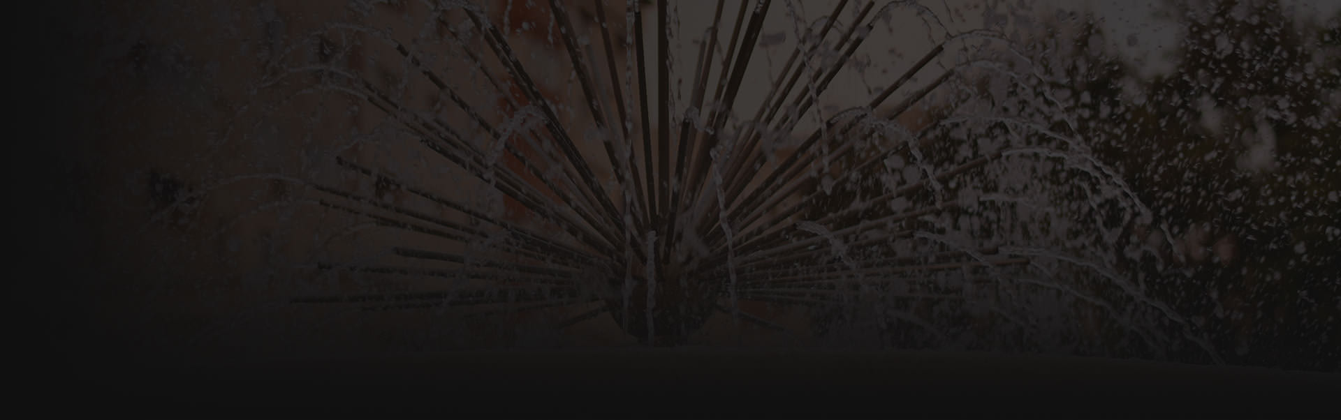 Detectiv particular Alexandria – Detectiv Premium